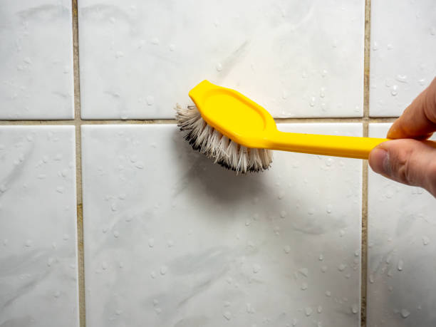 Best Emergency Mold Remediation in Lincoln, MT