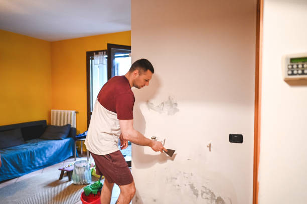 Best Post-Flood Mold Remediation in Lincoln, MT